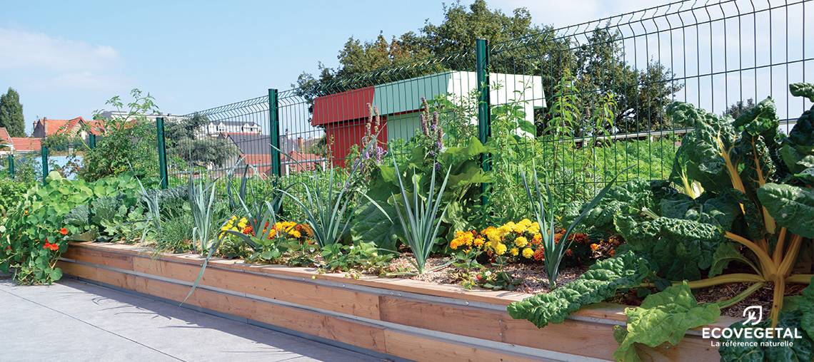Potager d'intérieur l'agriculture urbaine accessible à tous - Véritable® -  La Bel'France Cluny