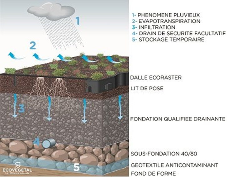 Cycle des eaux pluviales sur un sol de parking végétalisé particulier